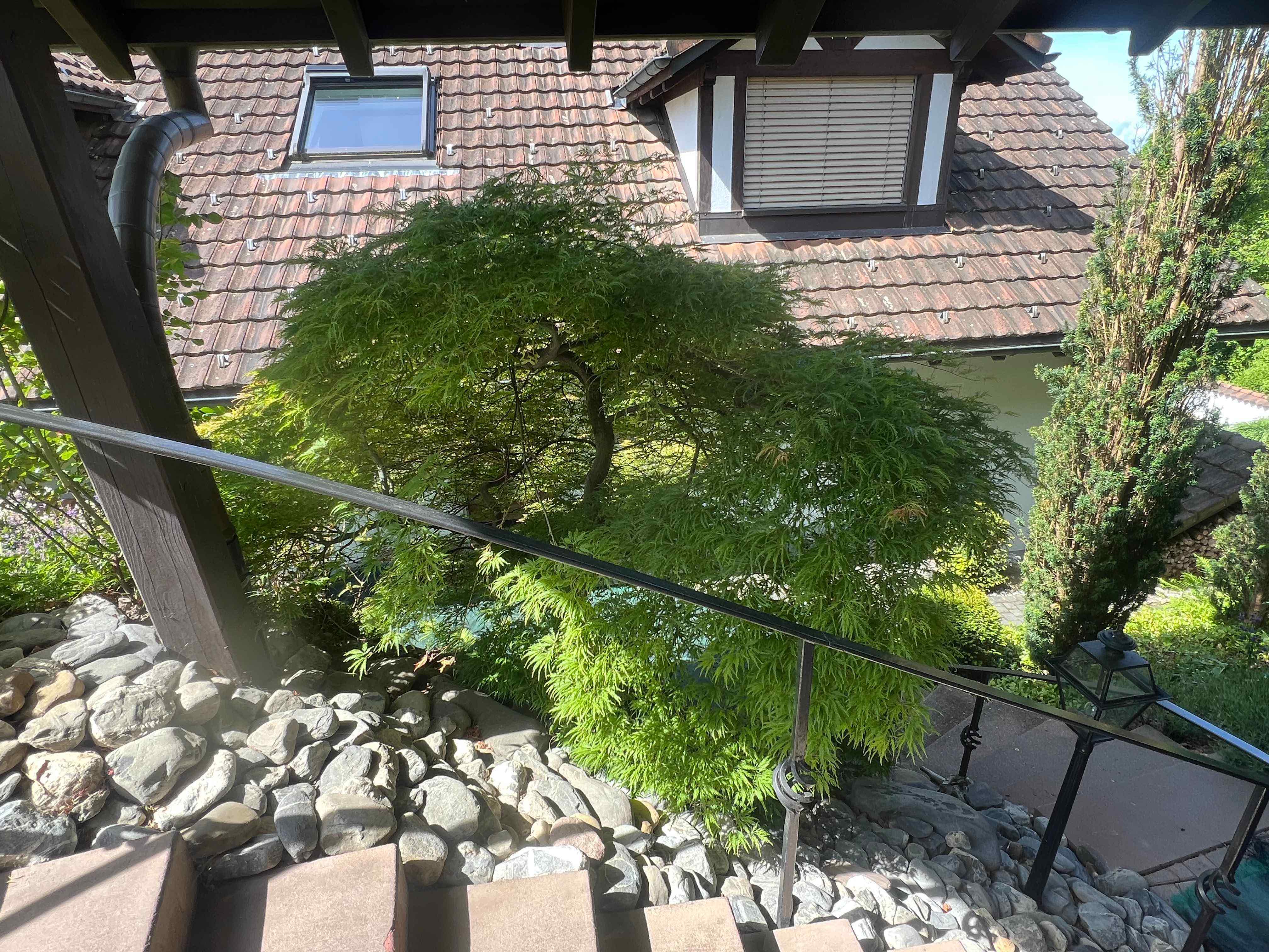 IMG 0784 5 11zon